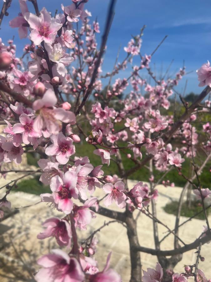 Masseria Gelsi Torre Chianca Kültér fotó