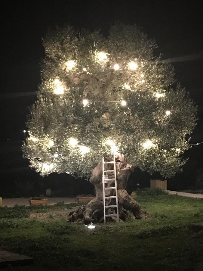 Masseria Gelsi Torre Chianca Kültér fotó