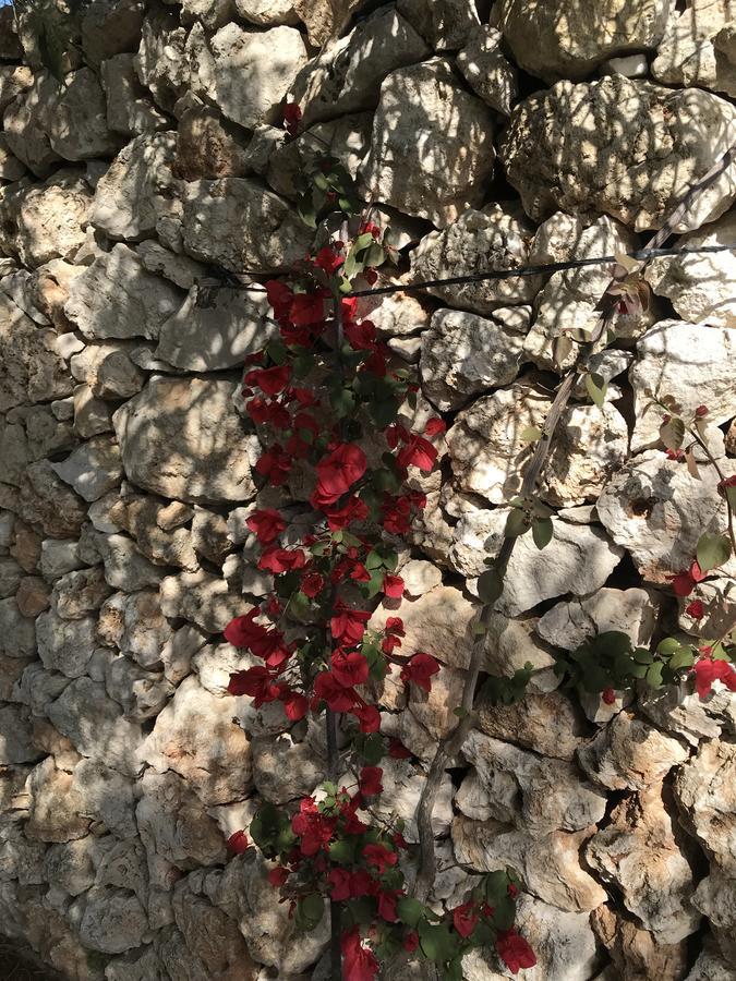 Masseria Gelsi Torre Chianca Kültér fotó