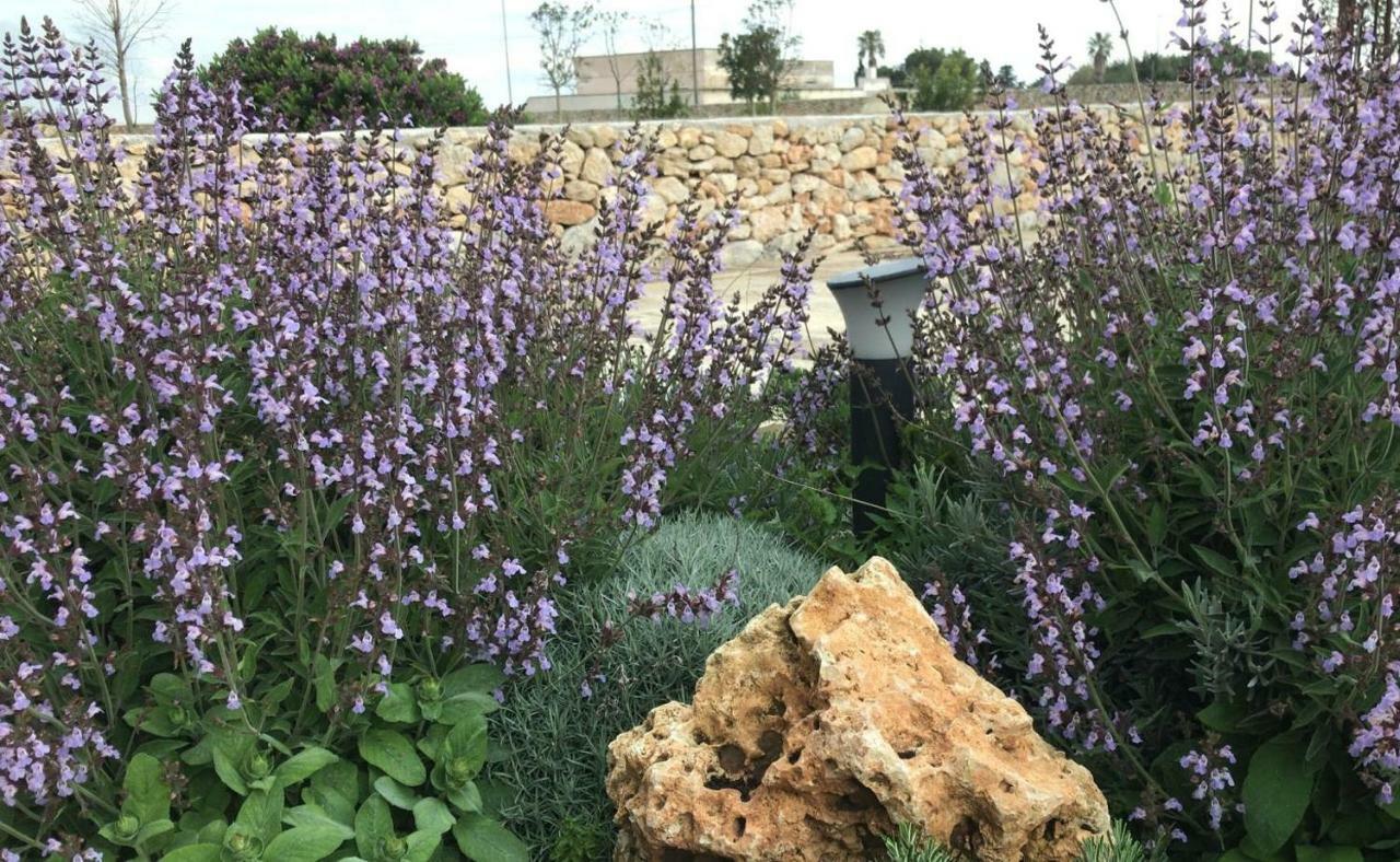 Masseria Gelsi Torre Chianca Kültér fotó