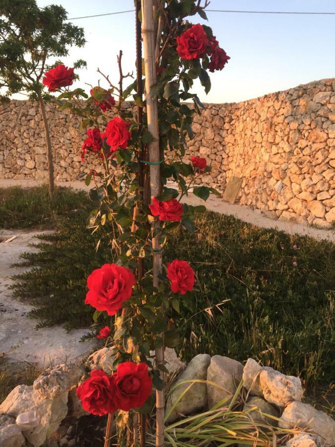 Masseria Gelsi Torre Chianca Kültér fotó